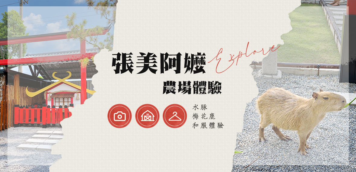 張美阿嬤農場動物互動